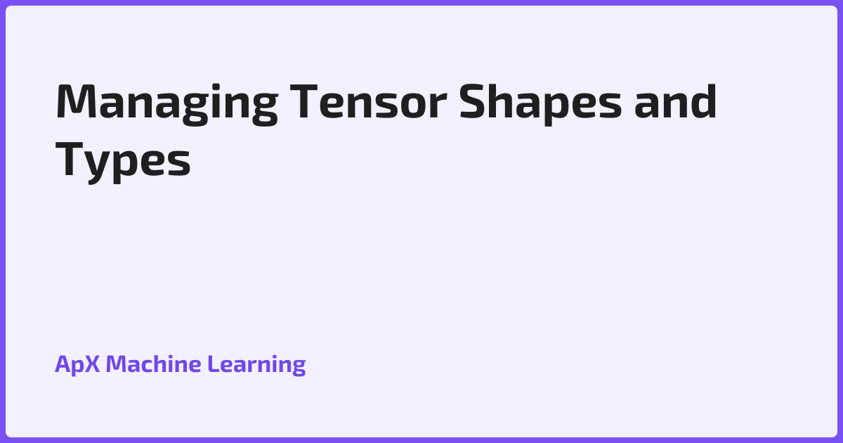 Managing Tensor Shapes and Types